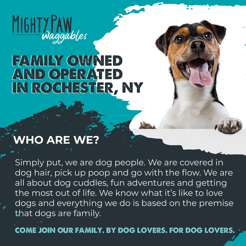 Mighty Paw Rochester NY facility image signals homegrown manufacturing and pet-focused quality