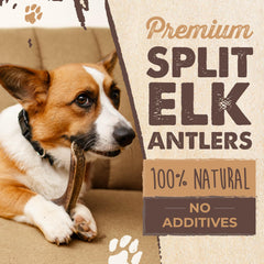Mighty Paw seven-inch elk antler dog chew highlights size for medium to large dogs.