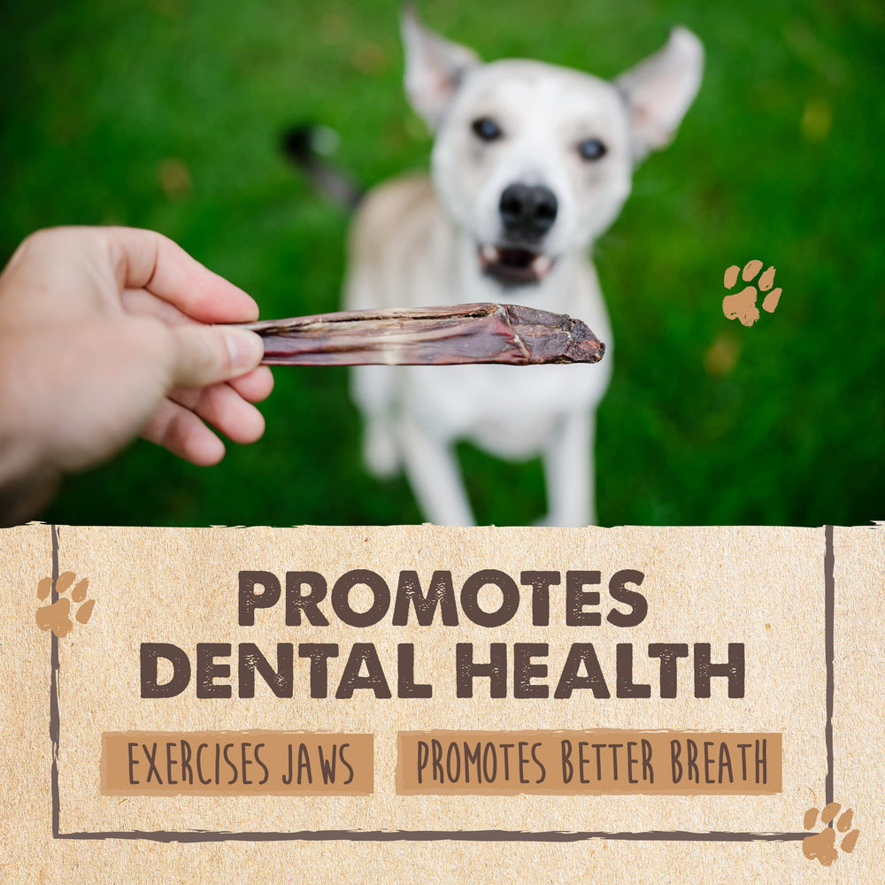 Mighty Paw bulk 30-pack chews for multi-dog households.