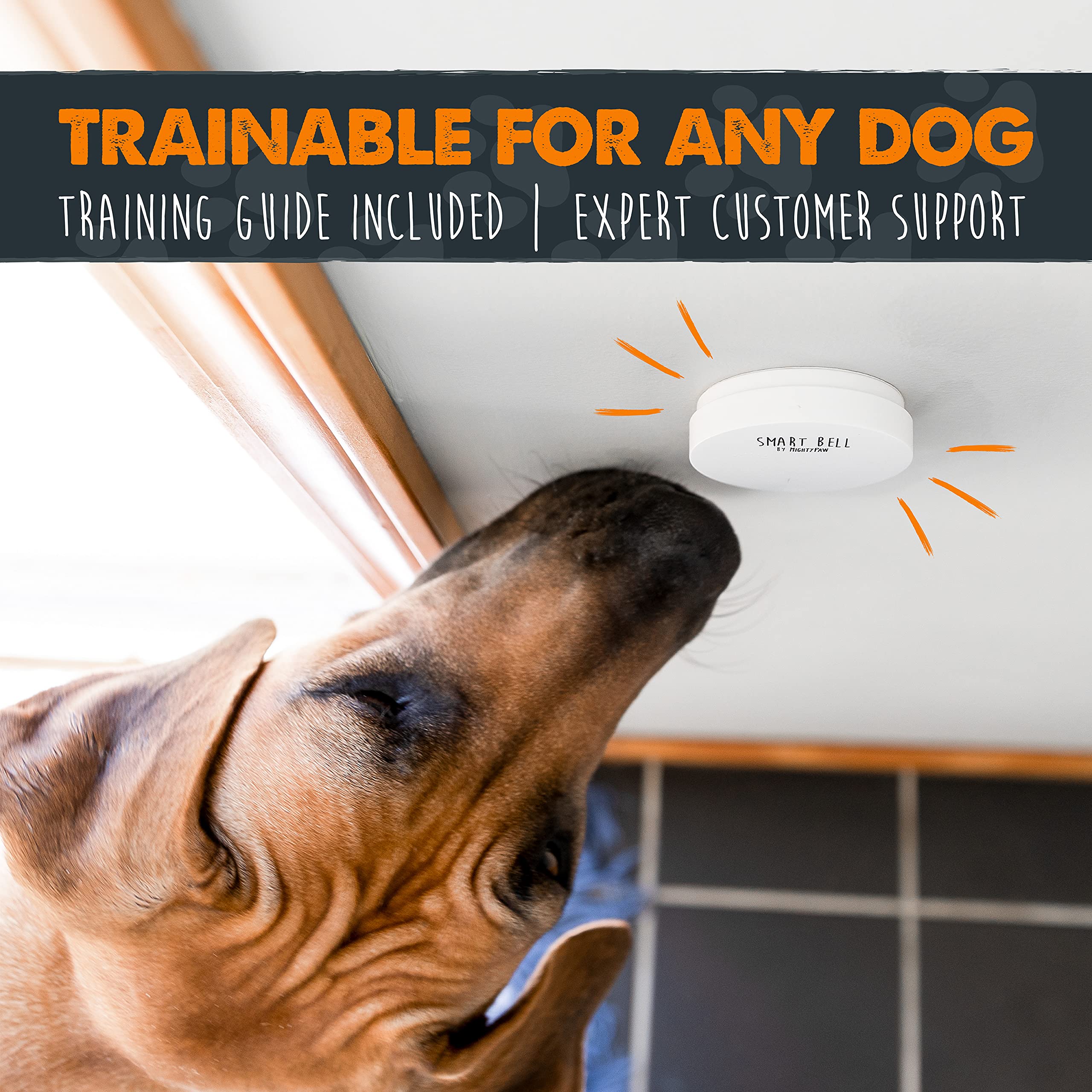 Mighty Paw Smart Bell 2.0 quiet hands-off training for calm routines.