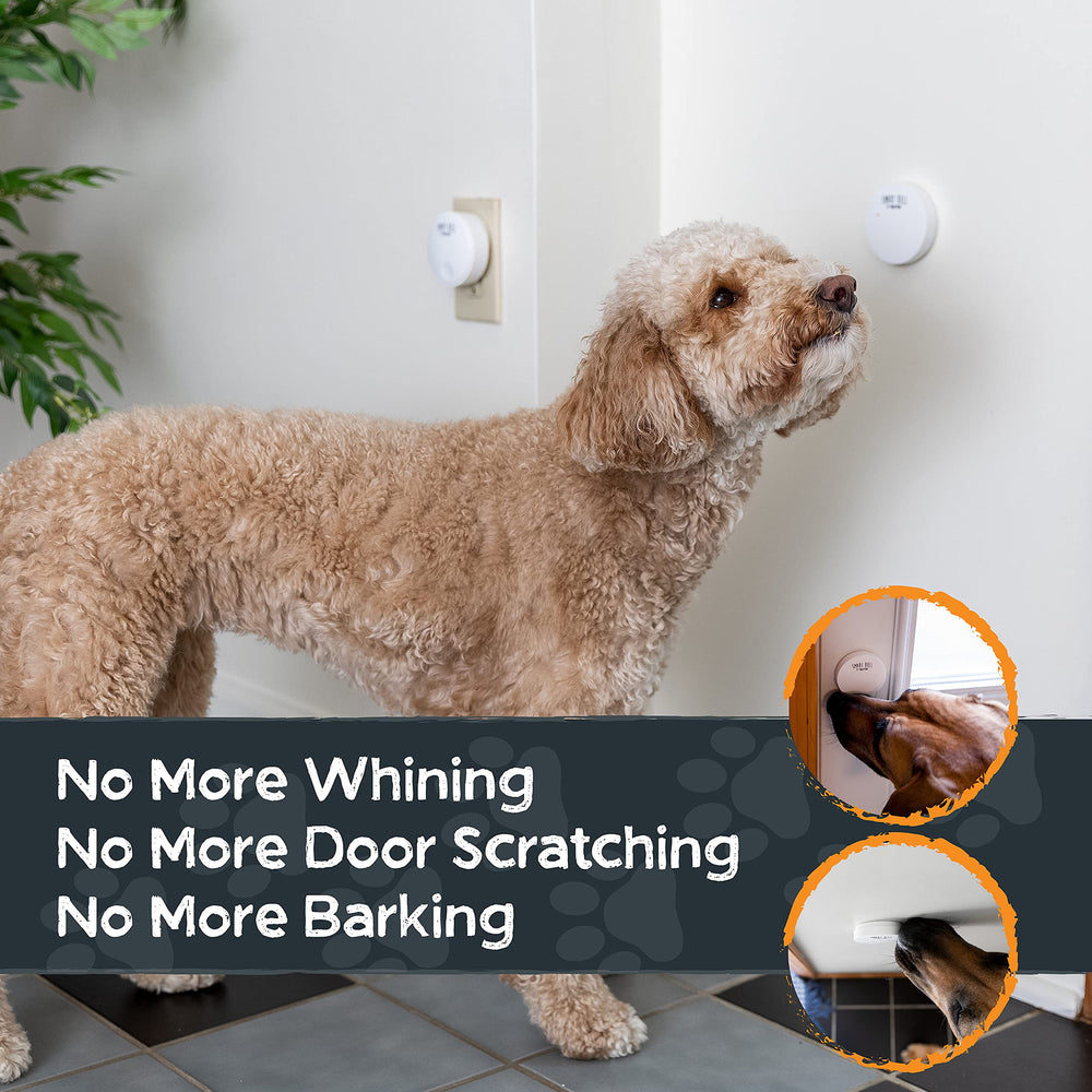 Mighty Paw Smart Bell 2.0 water-resistant dog bell for year-round training.