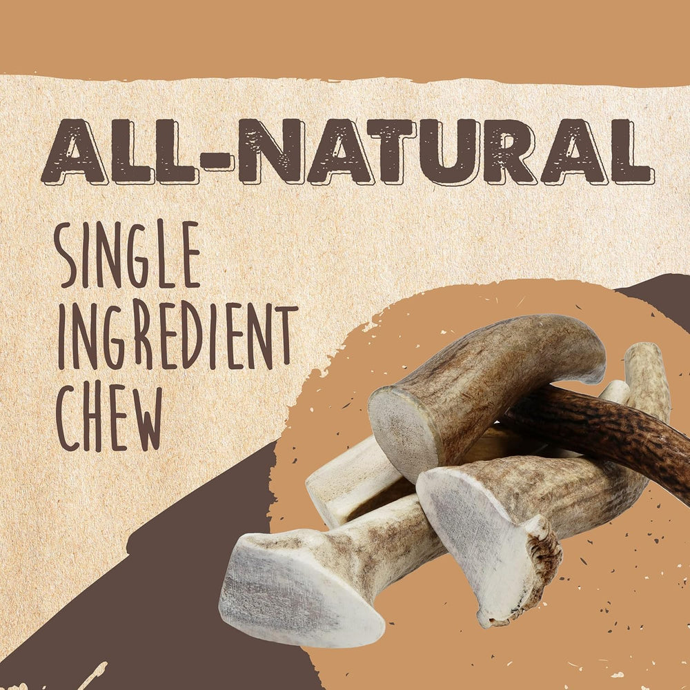 Mighty Paw Split Elk Antlers dental-friendly chewing for mind and gums.