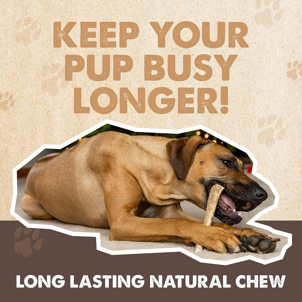 Mighty Paw Split Elk Antlers designed for large dogs, durable and satisfying.