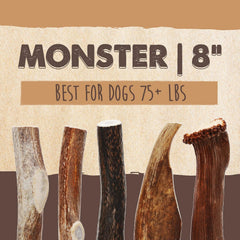 Mighty Paw Split Elk Antlers long-lasting chew pictured for persistent chewers.