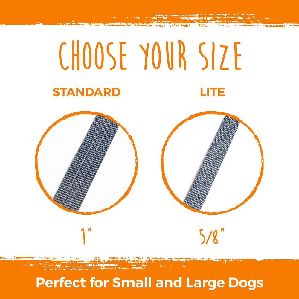 Mighty Paw tangle-free design prevents leash tangles when walking two dogs together.
