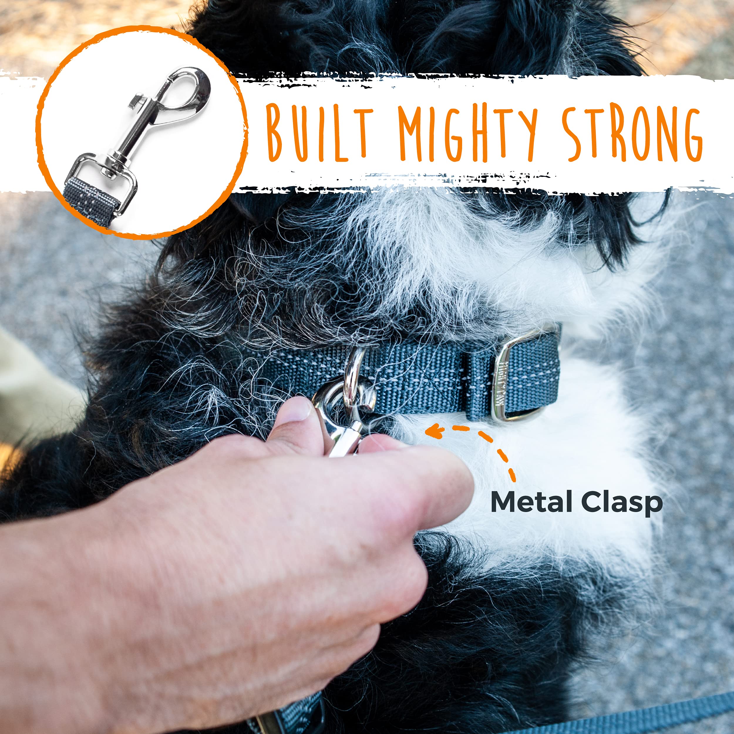 Mighty Paw two-dog leash attachment provides handy 2-point control.