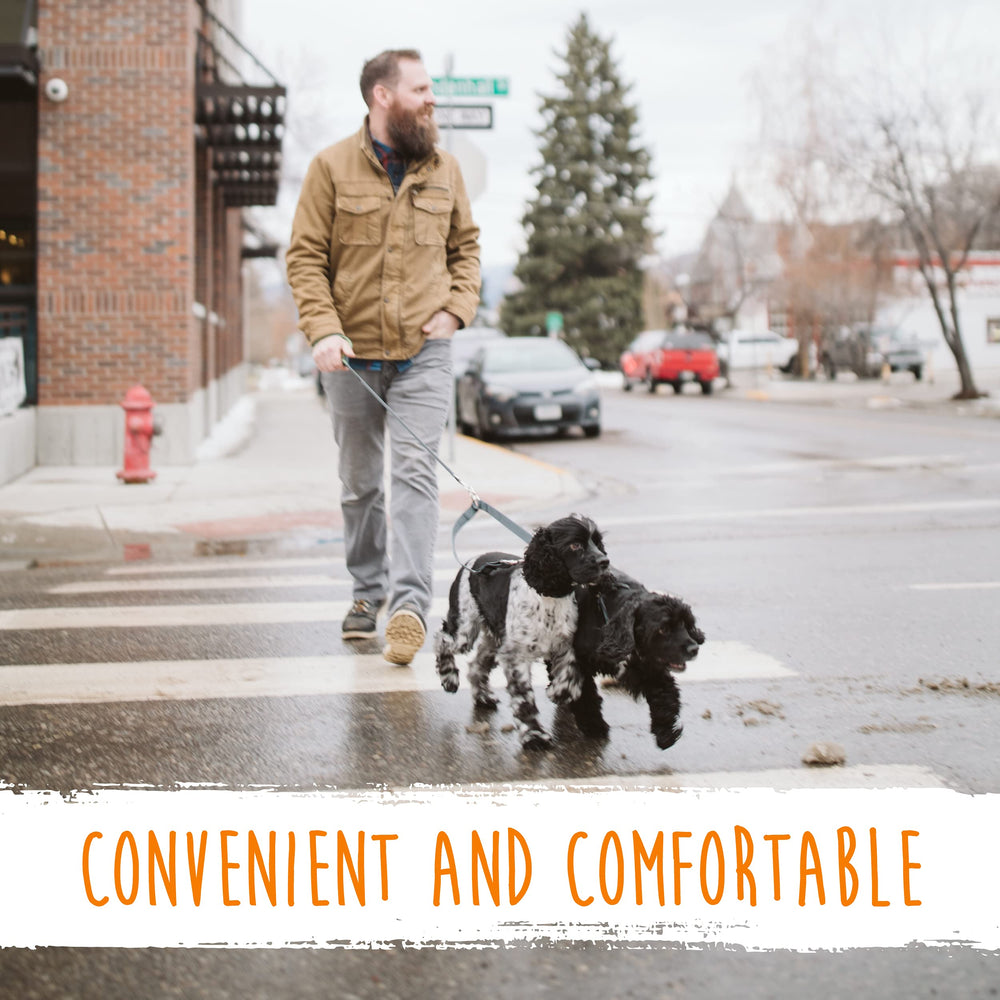 Mighty Paw two-pups walk from a USA-made, family-owned brand.