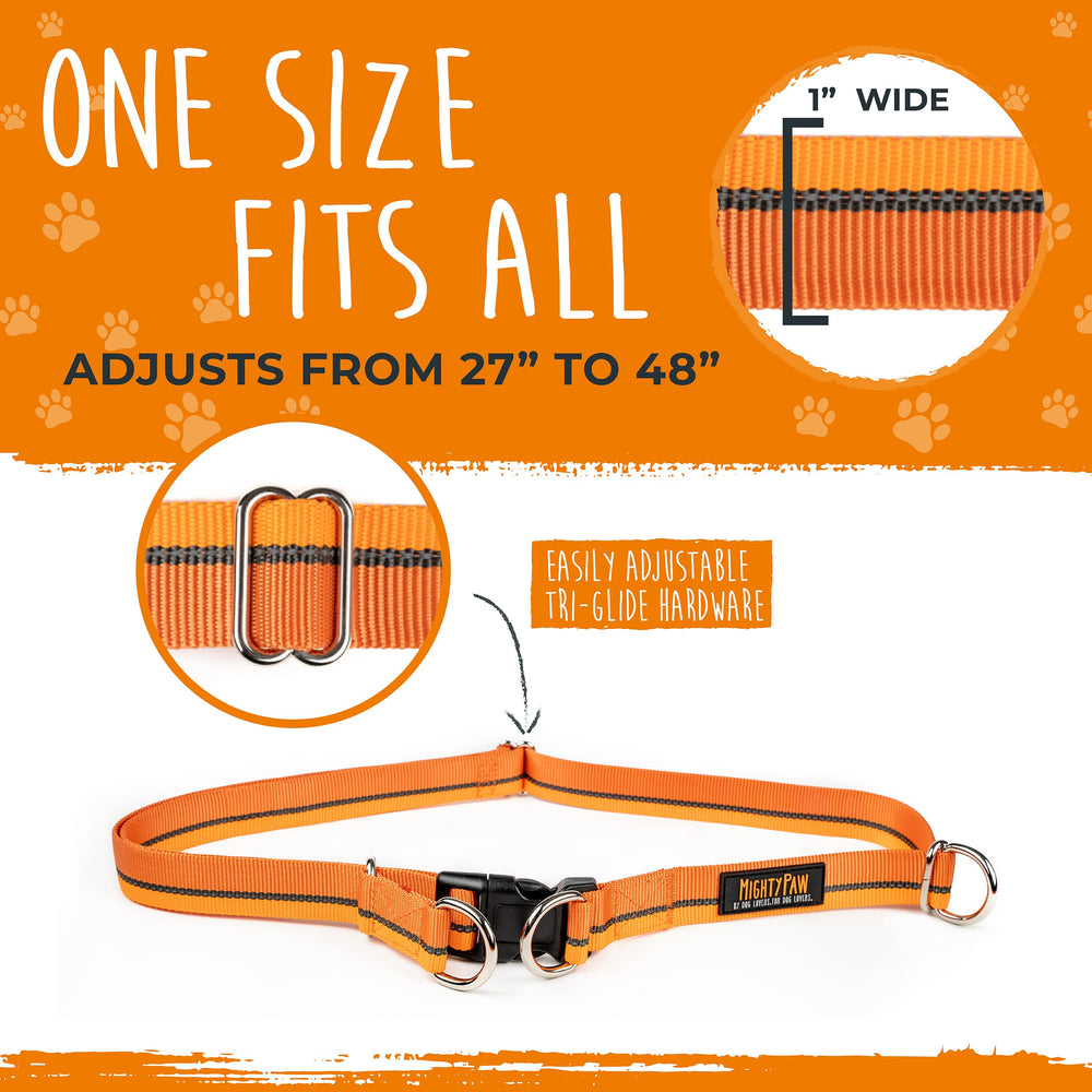 Mighty Paw strong strap demonstrates support for dogs up to 150 lbs