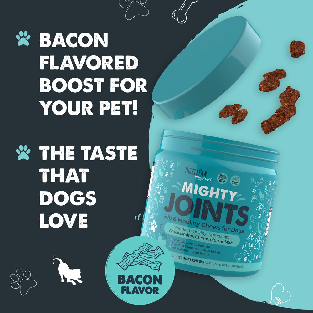 Mighty Paw Waggables dog happily taking a chew during playtime