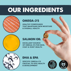 Mighty Paw Mighty Omega dog-ready-to-eat chews demonstrate palatability and convenience.