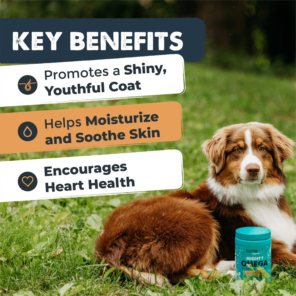 Mighty Paw Mighty Omega soft chews closeup highlighting tasty bacon flavor for easier administration.