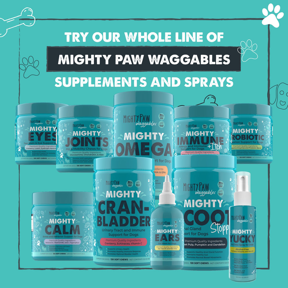 Mighty Paw Waggables joint support chews aiding mobility during outdoor activity