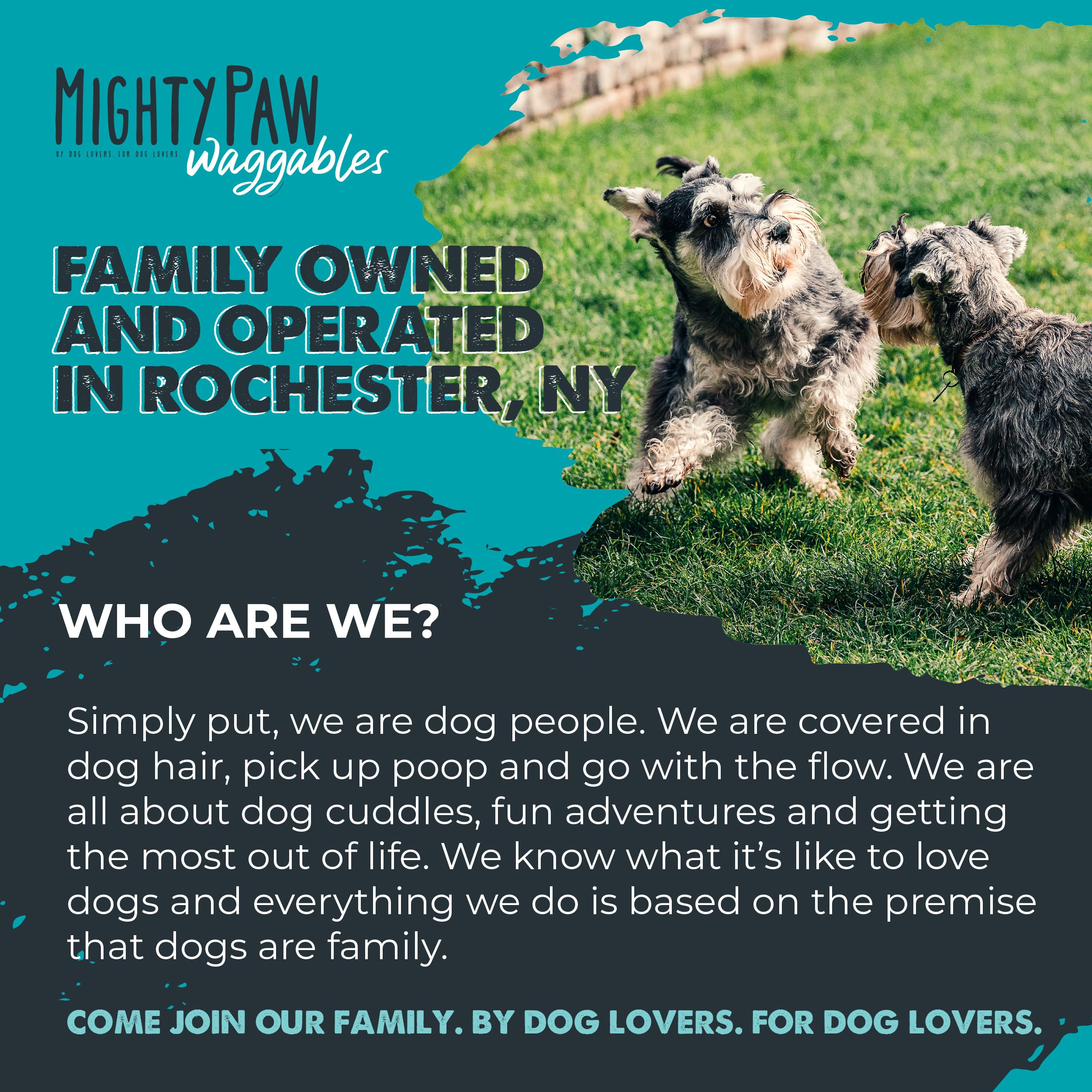 Mighty Paw Waggables USA made badge on packaging for trusted quality