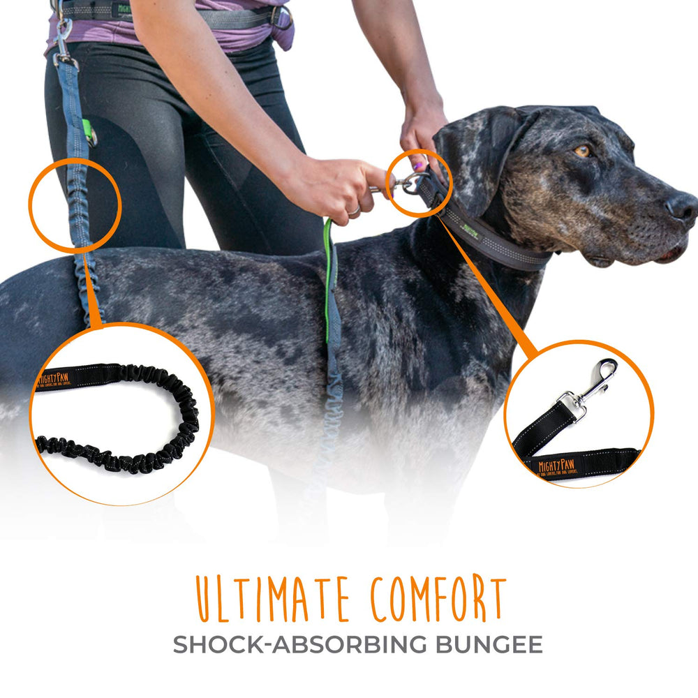 Mighty Paw Waist Belt adjustable 27-48 inches ensures fit for most breeds.