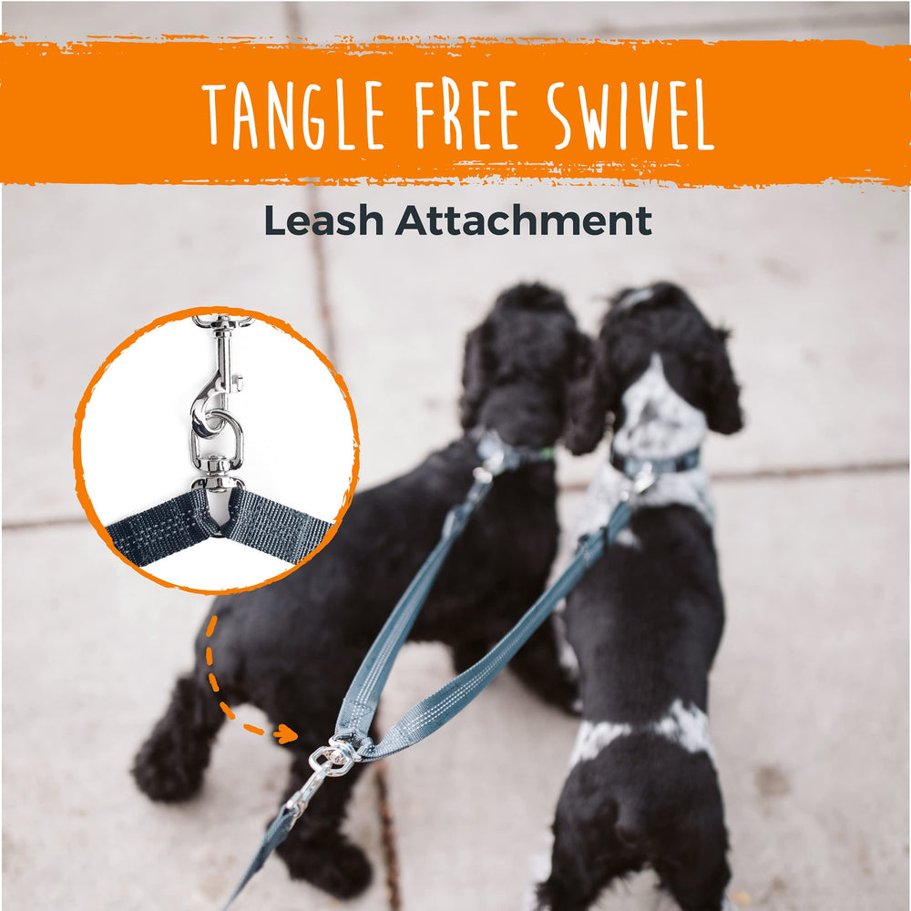 Mighty Paw waterproof durable webbing stands up to rain and rugged use.
