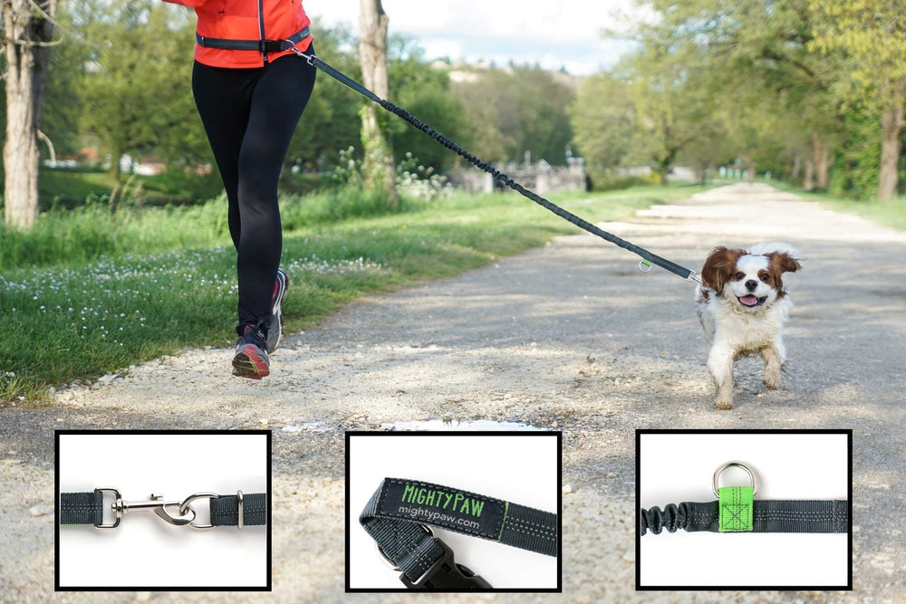 Mighty Paw weather-resistant nylon construction built for daily use outdoors.