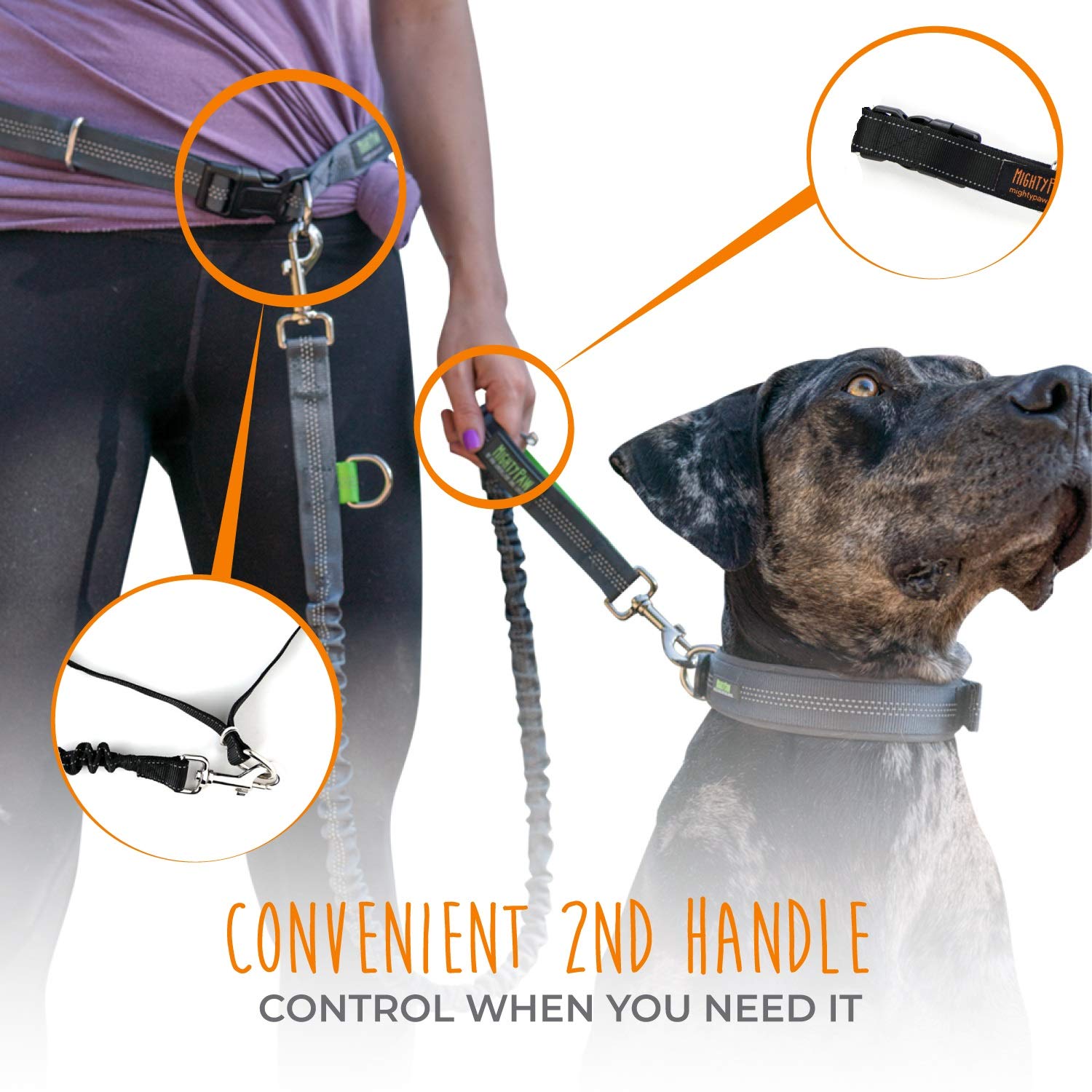 Mighty Paw Weather-Resistant Nylon resists wear in rain and mud.
