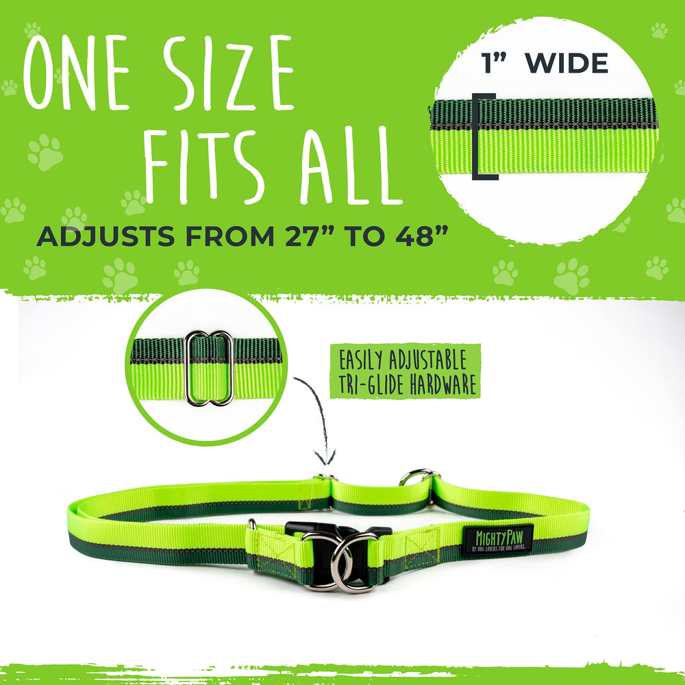 Mighty Paw weather-resistant nylon demonstrates durability