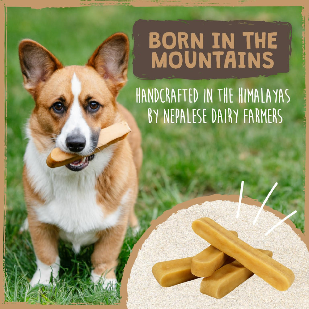 Mighty Paw microwave cheese-puffs option image suggests turning chews into a treat safely.