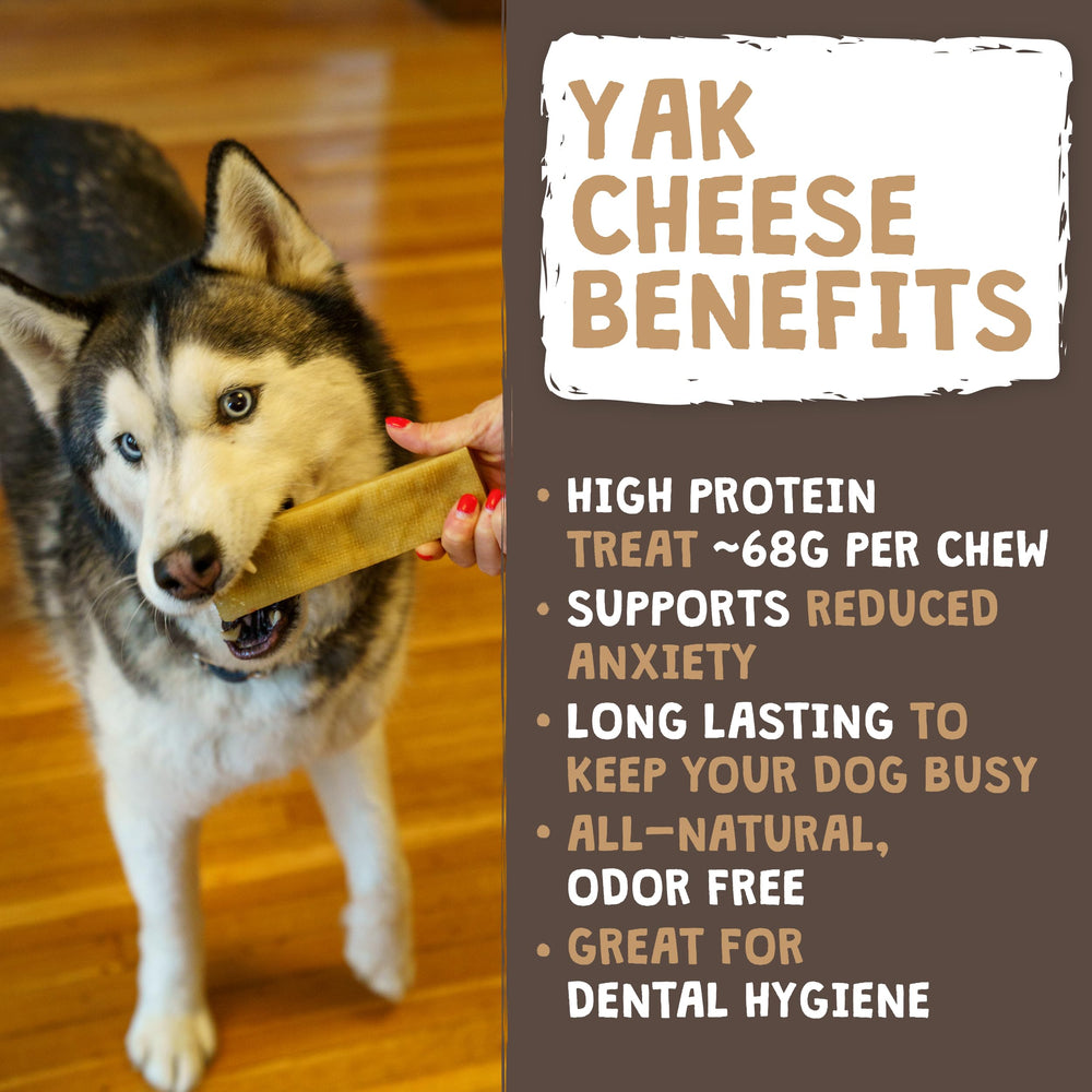 Mighty Paw Yak Cheese Chews texture close-up shows a hard, satisfying bite for big dogs.