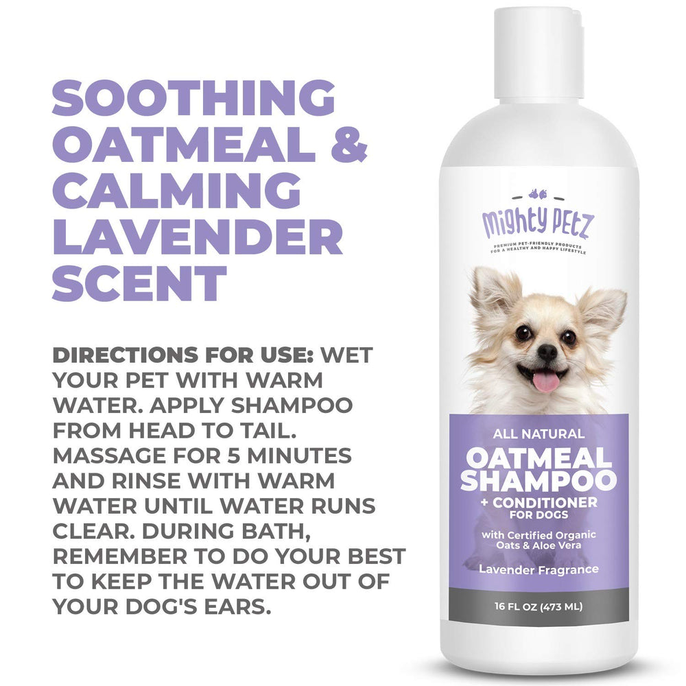 Mighty Petz after-bath dog coat looks moisturized, shiny, and comfortable.