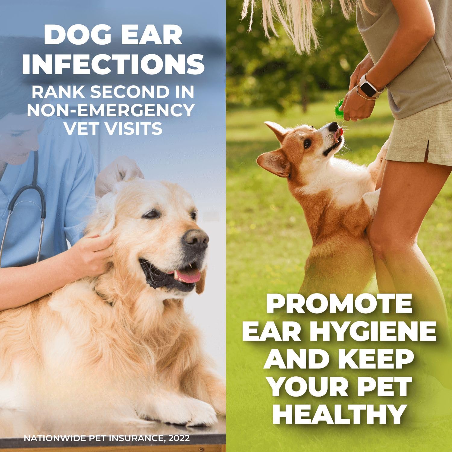 Mighty Petz ear cleaner used on dogs and cats in a home setting
