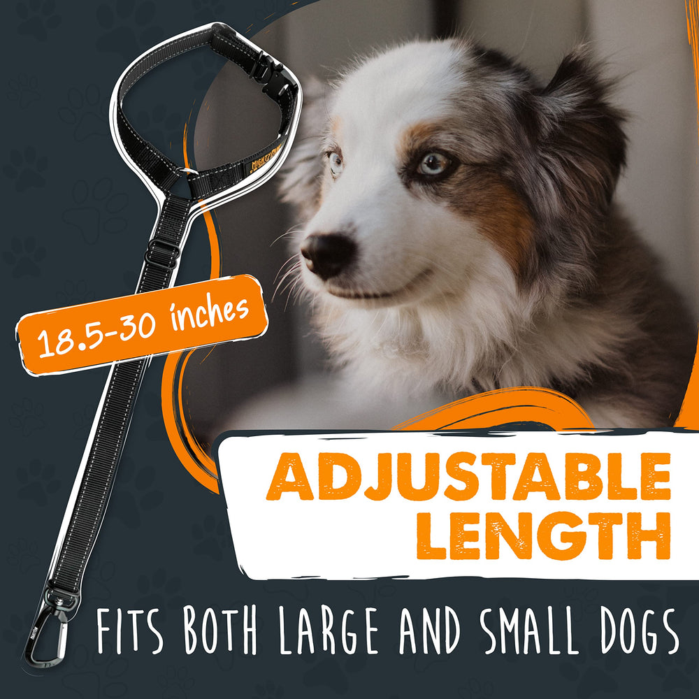 Mighty Paw aviation-grade aluminum carabiner provides strong, reliable restraint with a smooth swivel.