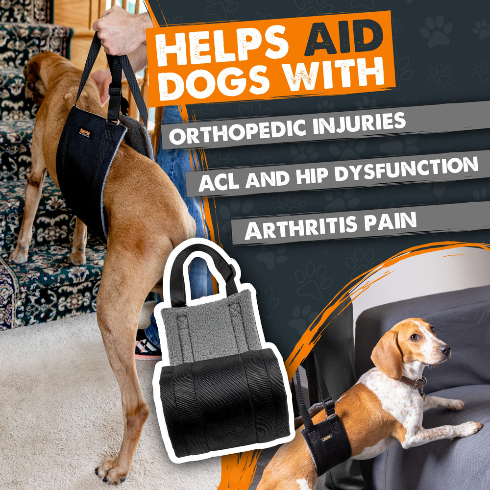 Mighty Paw Dog Lift Harness adjustable strap fits securely for tiny dogs