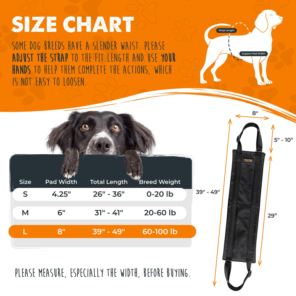 Mighty Paw Dog Lift Harness belly cushion ensures comfort during lifting