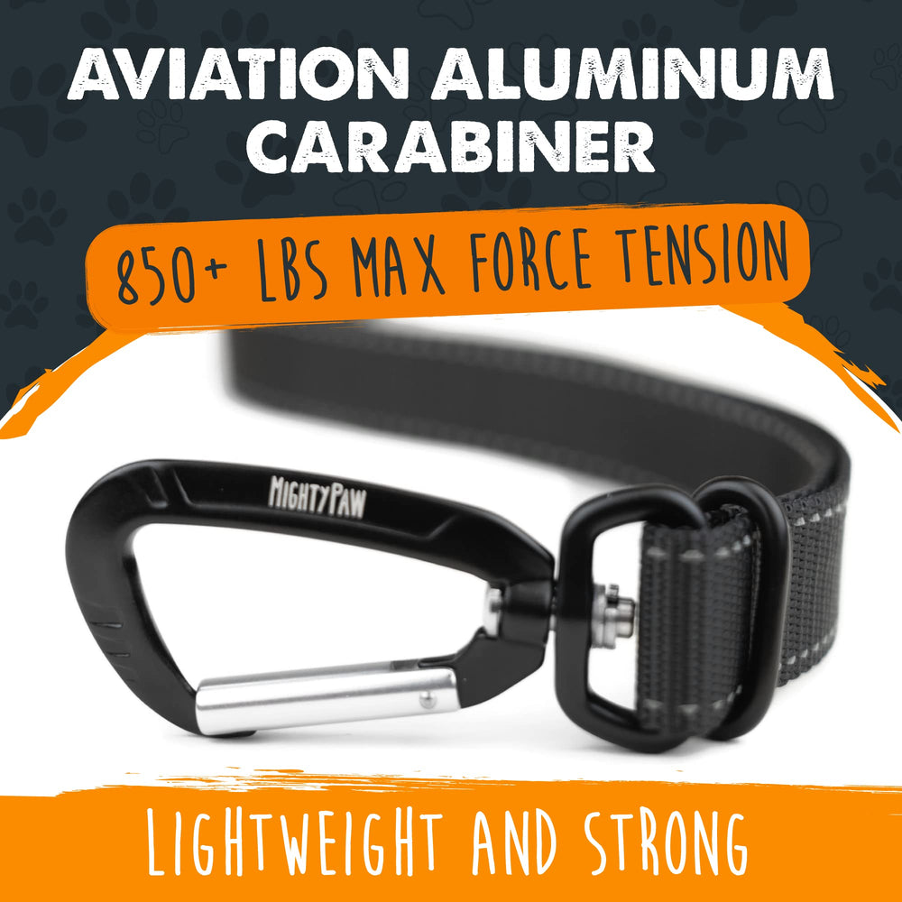 Mighty Paw durable nylon strap stands up to daily car trips.