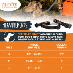 Mighty Paw collar buckle detail highlights rugged hardware for durability.