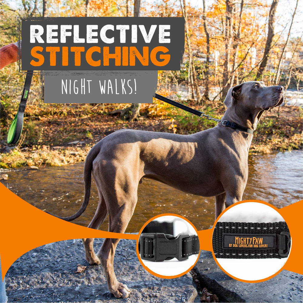 Mighty Paw nylon strap closeup emphasizes weatherproof comfort and stability.