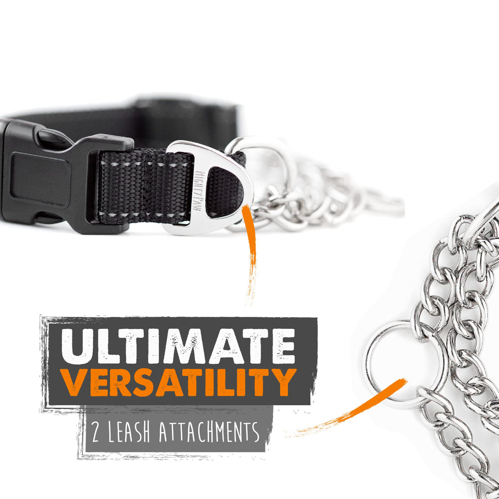Mighty Paw two D-rings image signals versatile use as training or standard collar.