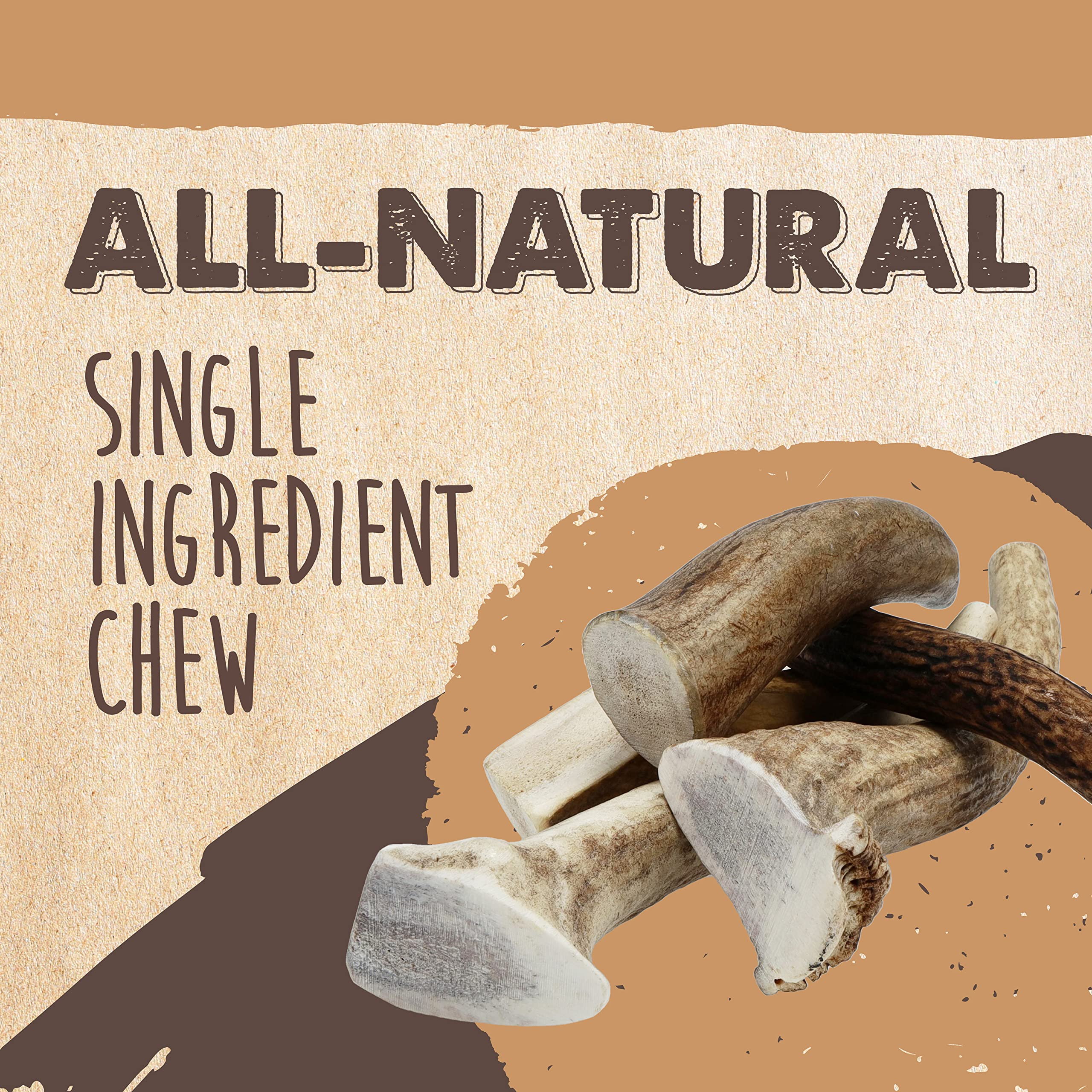 Mighty Paw medium elk antler ideal size for small to medium dogs