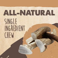 Mighty Paw medium elk antler ideal size for small to medium dogs
