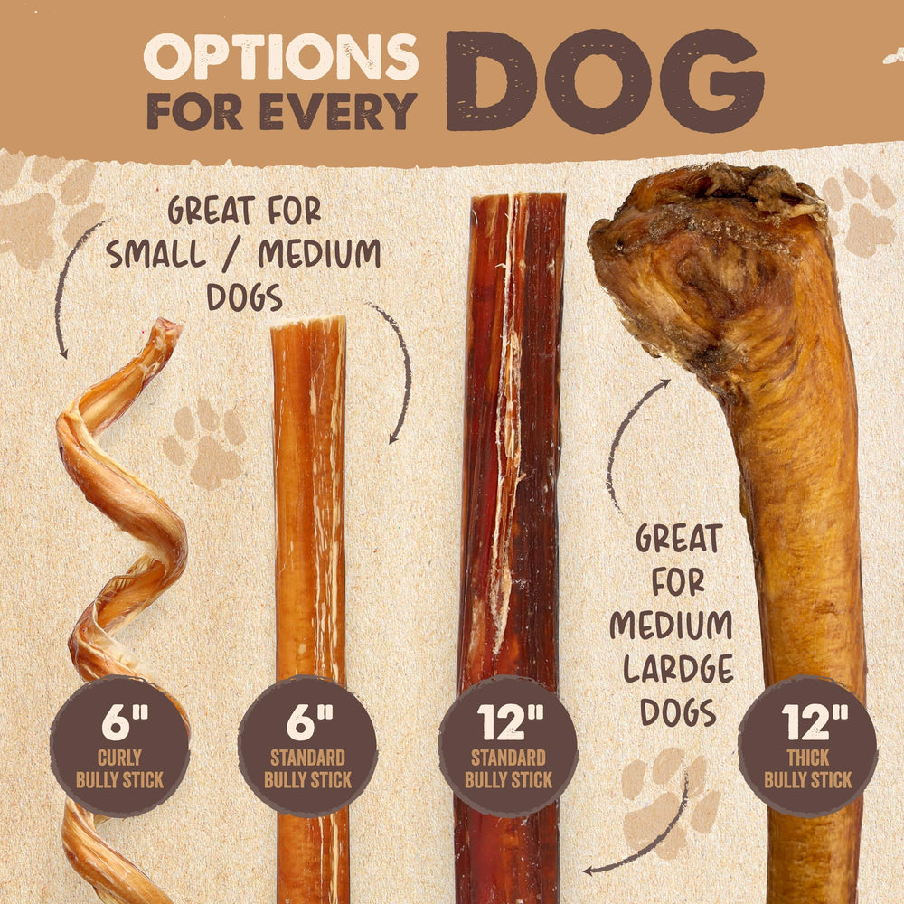 Mighty Paw Naturals single-ingredient beef feature for simple snacking
