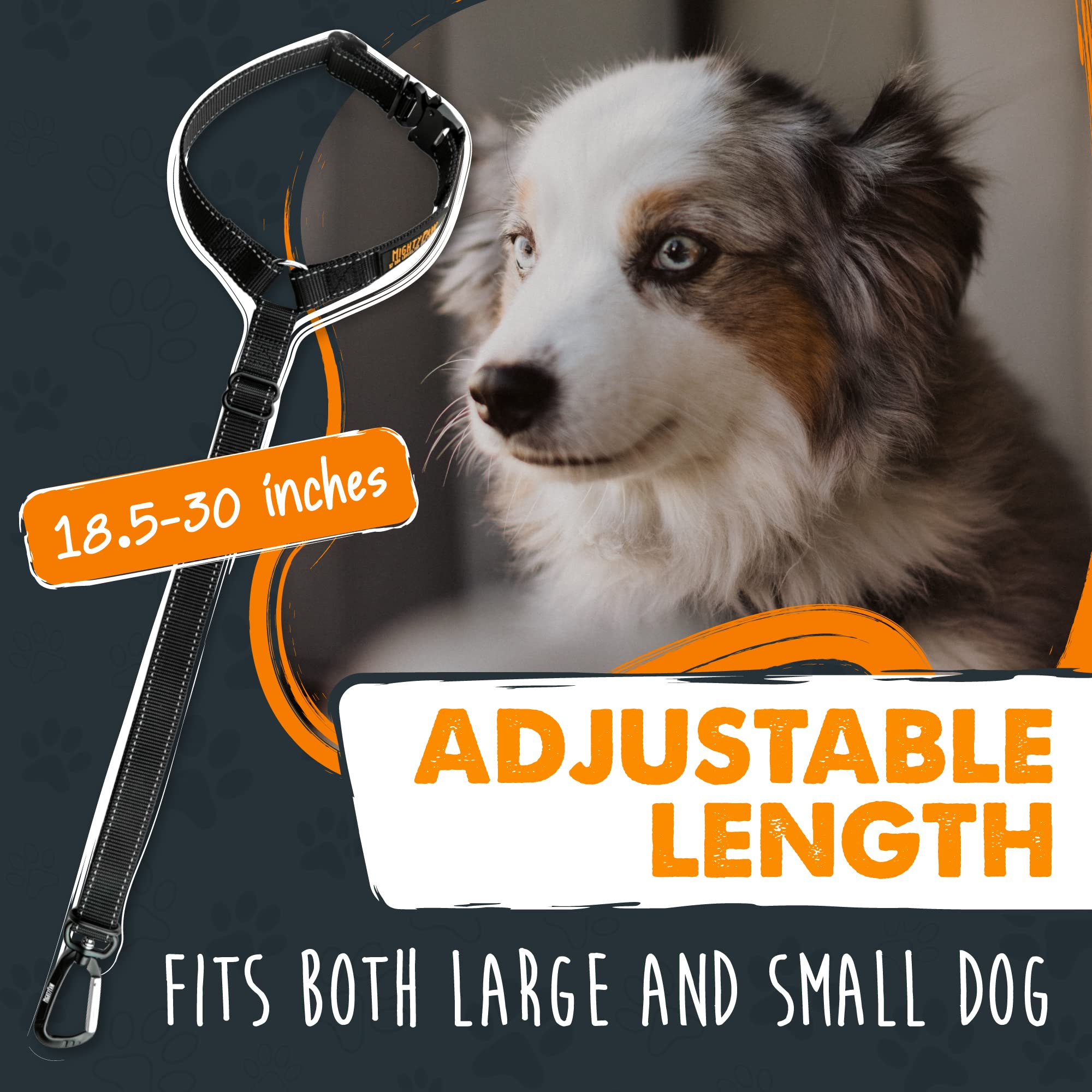 Mighty Paw car seatbelt compatibility for a broad range of vehicles and harnesses.