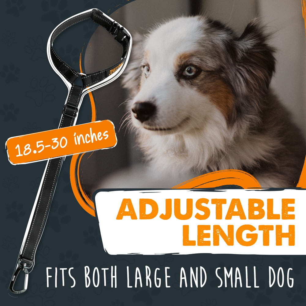 Mighty Paw car seatbelt compatibility for a broad range of vehicles and harnesses.