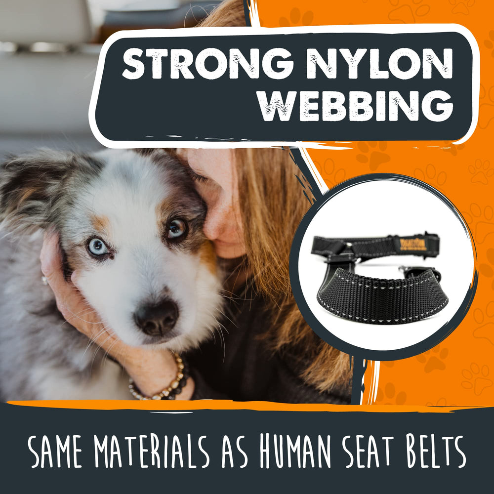 Mighty Paw tangle-free swivel clip keeps your dog settled without tangles.