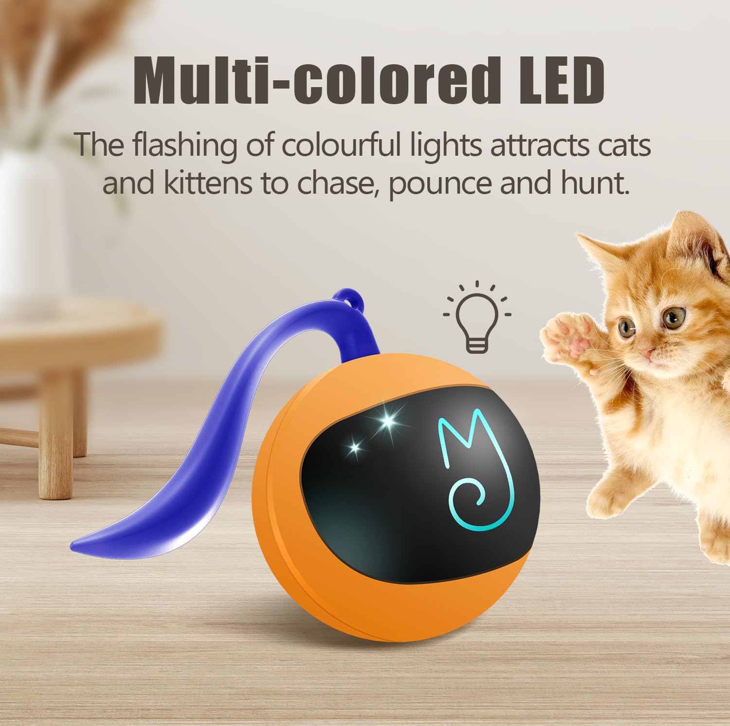 Migipaws-ball-rolling-on-carpet in a cozy living room