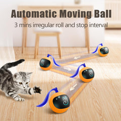 Migipaws cat ball lights up as it rolls to invite chasing behavior