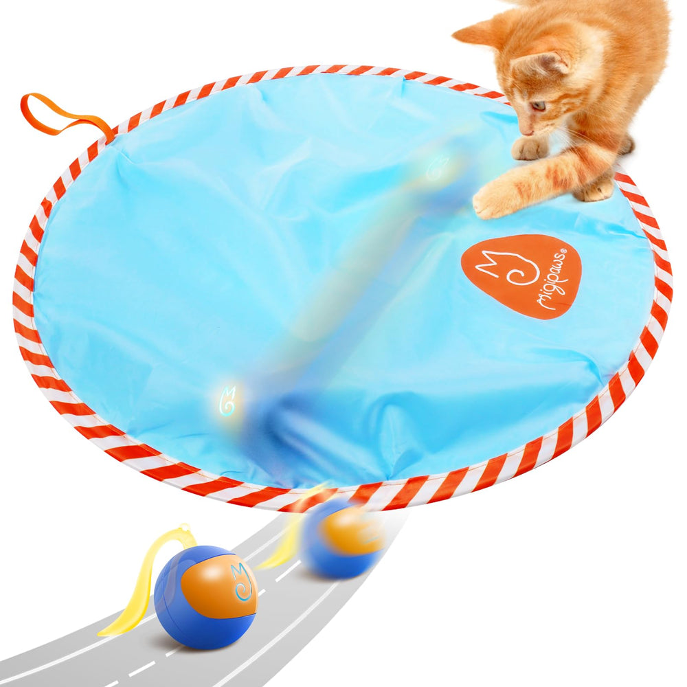Migipaws glowing chase ball glows for interactive nocturnal play and curiosity
