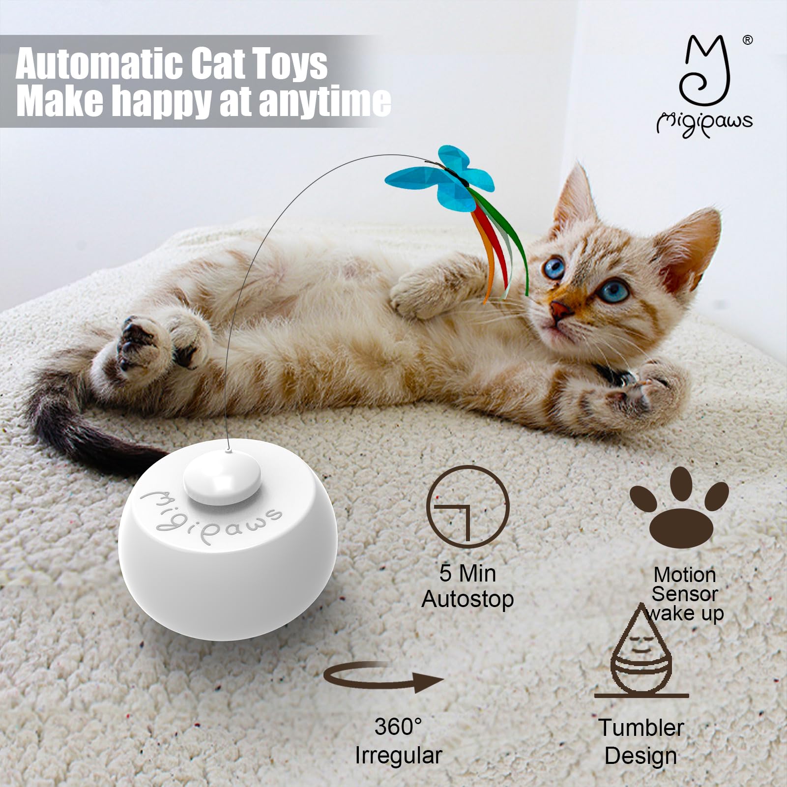 Migipaws indoor entertainment keeps cats engaged when solo.