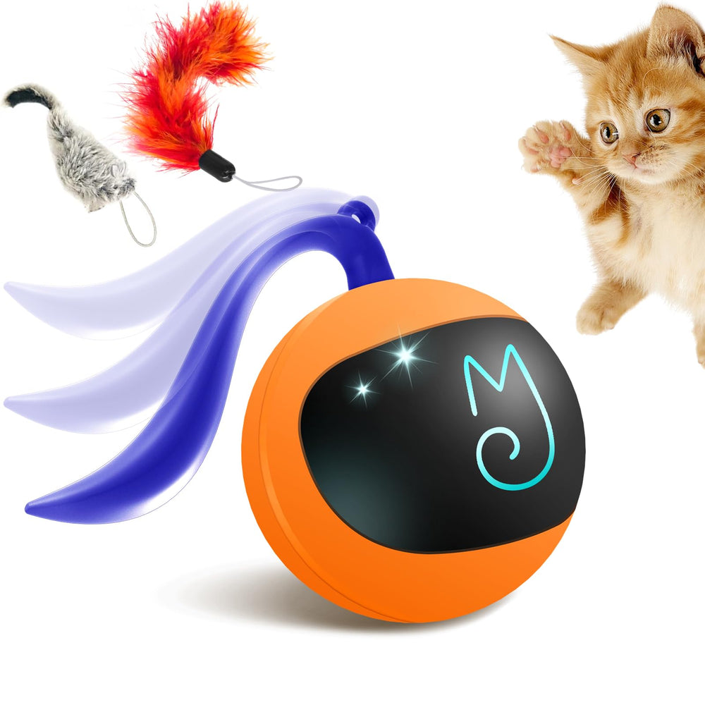 Migipaws Interactive Cat Ball Toy Set rolling ball on carpet for indoor play