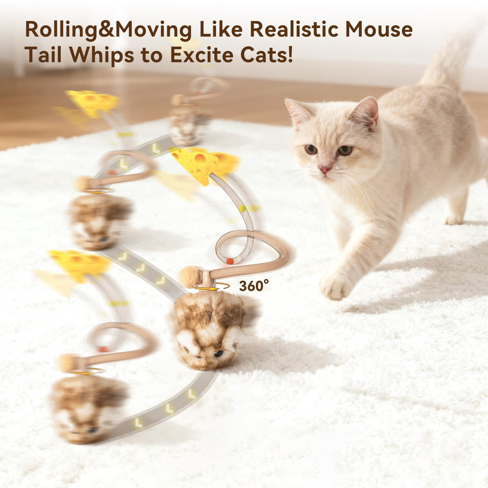 Migipaws Migimouse rolling action demonstrates 360° rolling for active chasing indoors.