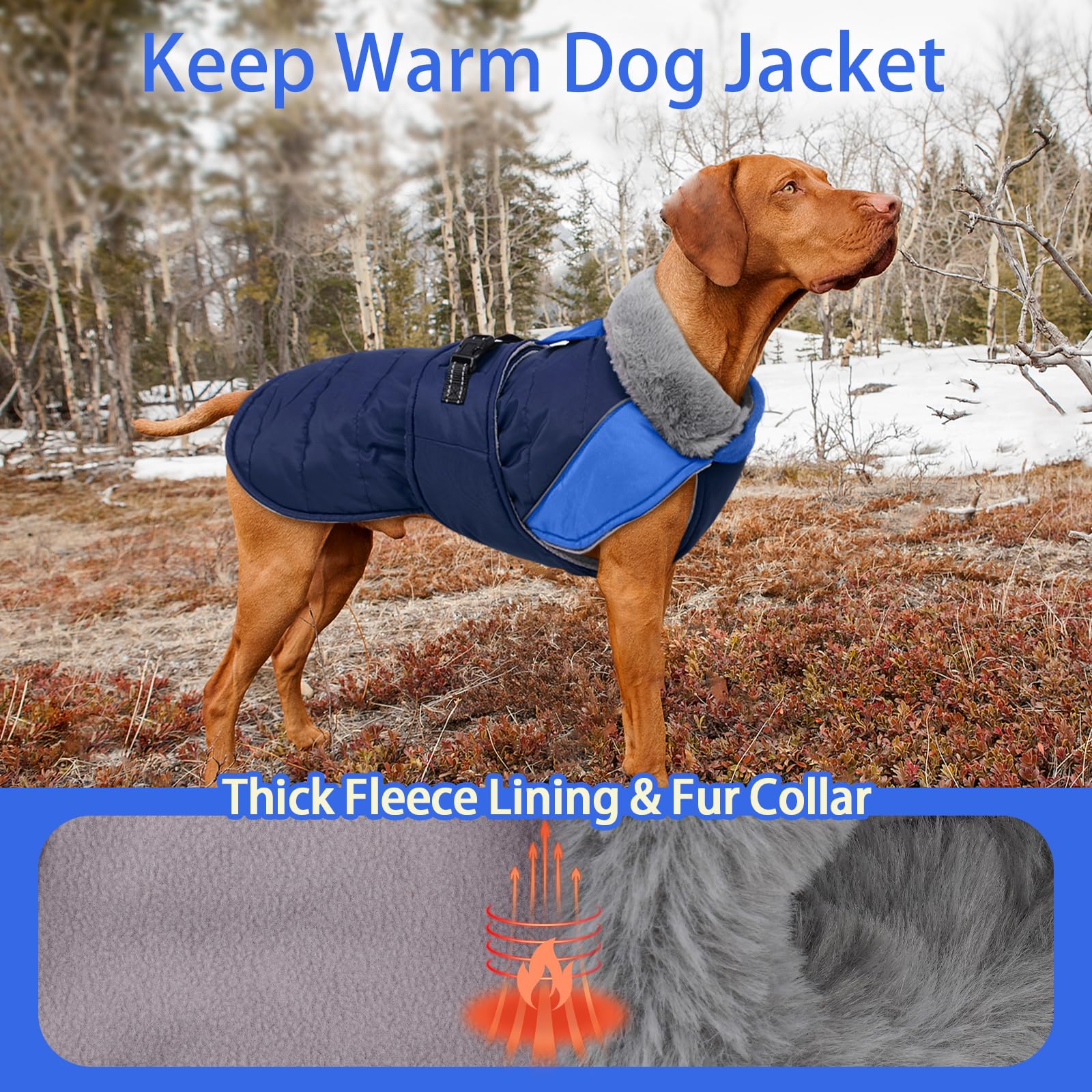 MIGOHI adjustable closures ensure secure fit for large breeds