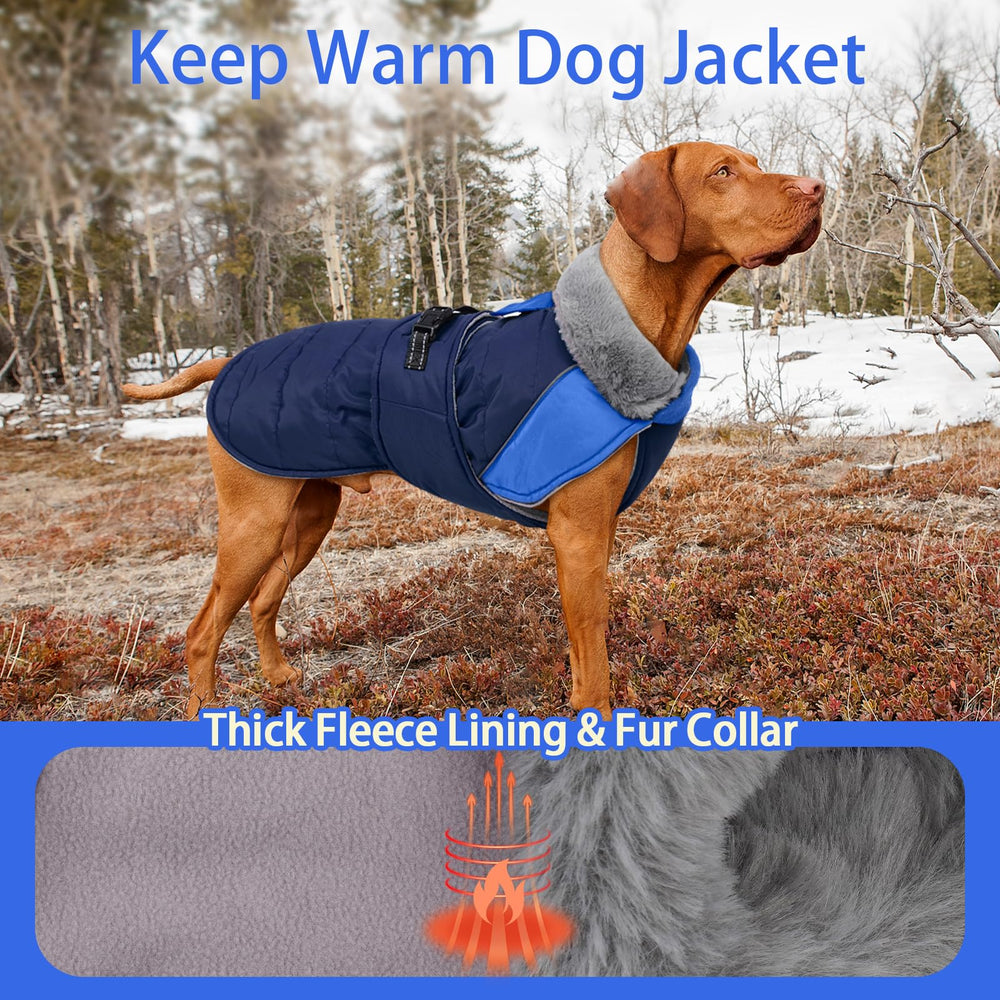 MIGOHI adjustable closures ensure secure fit for large breeds