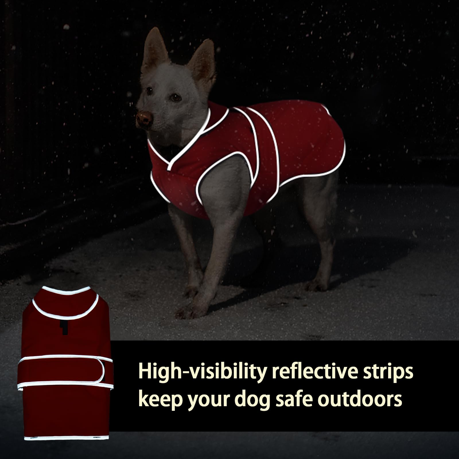 MIGOHI zipper for collar and harness access simplifies dressing