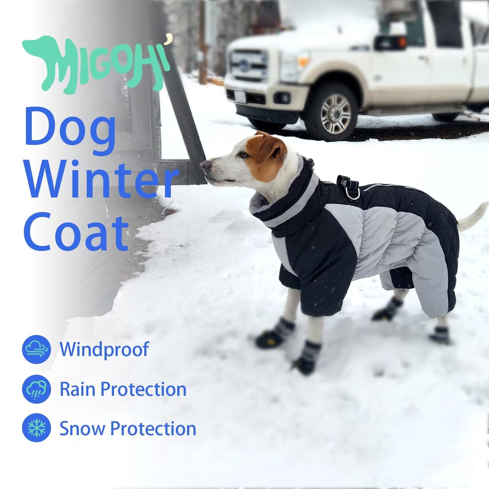 MIGOHI dog coat harness attachment shows easy leash integration for every outing.