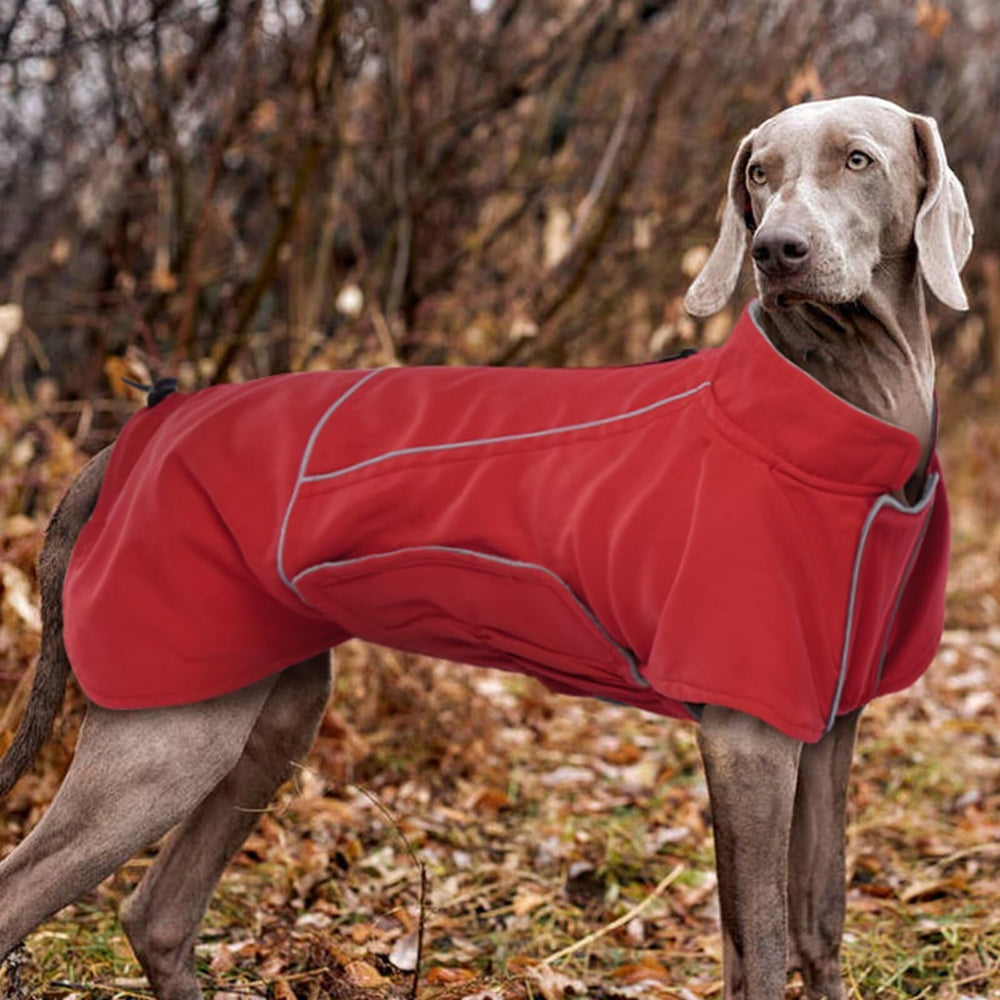 Migohi waterproof windproof jacket protects against rain, wind, and chill.